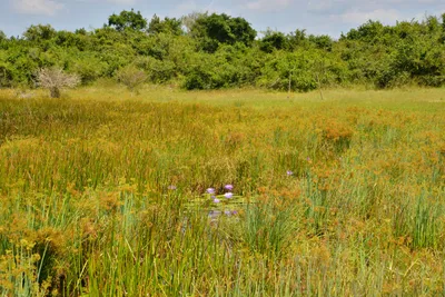 DSC_5146 (Large).JPG